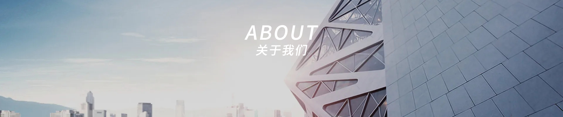 公司簡介